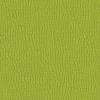 Green Apple Green Apple